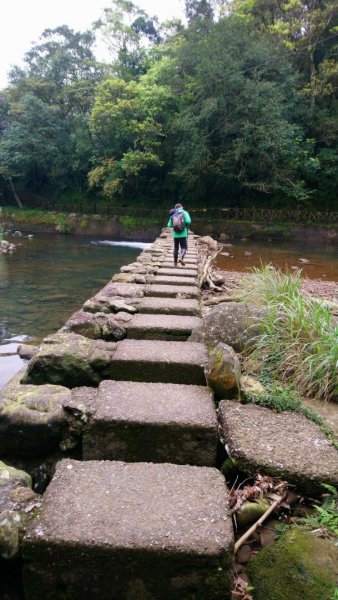 璀璨百年淡蘭古道～崩山坑古道、溪尾寮山、保城坑古道、虎豹潭步道O走1313417