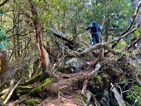 船型山環走大雪山210林道2978058