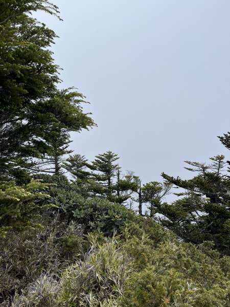 聖稜線I 2023_0526(D4-3) 巴紗拉雲山2166624