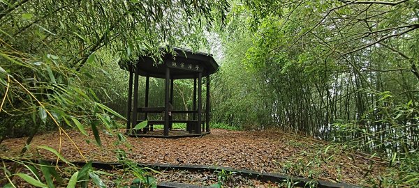 2025/04/25_苗栗鐘樓古道2771178