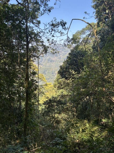 20260322[公車]石壁山&嘉南雲峰3019927