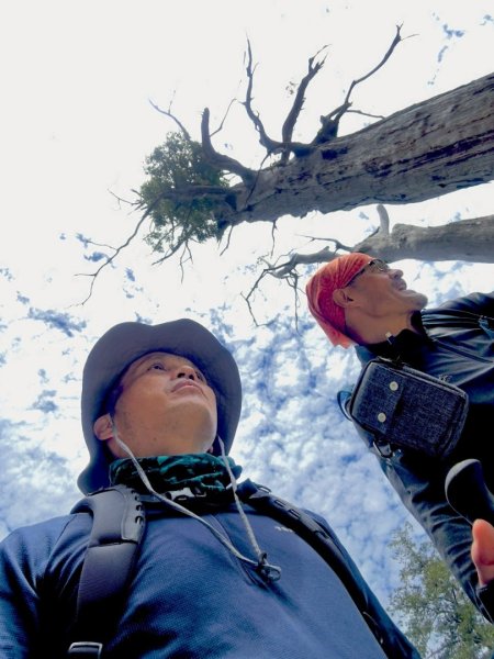 20250620南橫三山塔關山2816697