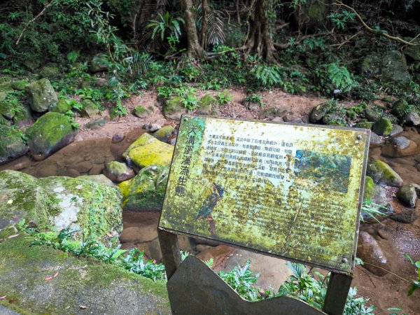 2026-02-22 內湖雙心縱走3006792