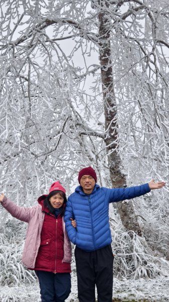 我的2025 第三場雪 #翠峰湖步道 #望洋山 #金翼白眉  2/92708868