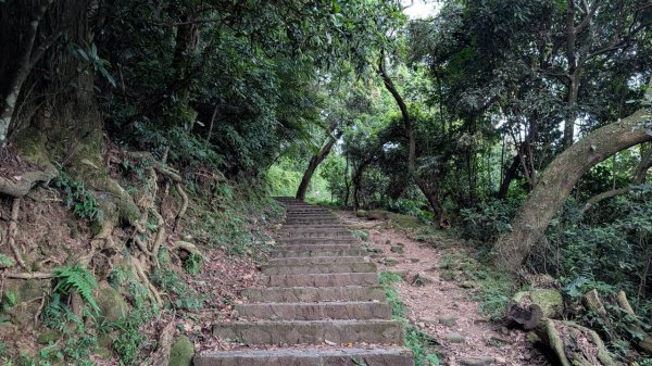 飛鳳山步道3118555