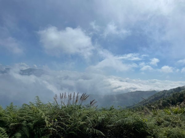 小百岳(56)-雲嘉大尖山-202111141707325