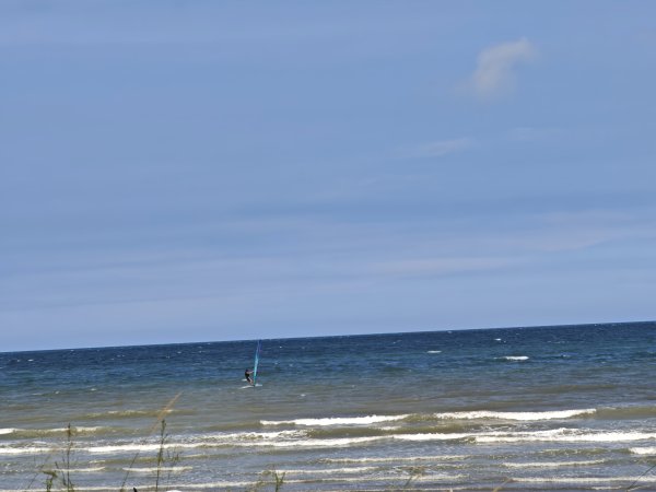 [霄裡好風光，運動樂悠遊！-4/10] 2025_0608 新屋綠色走廊自行車道2808144