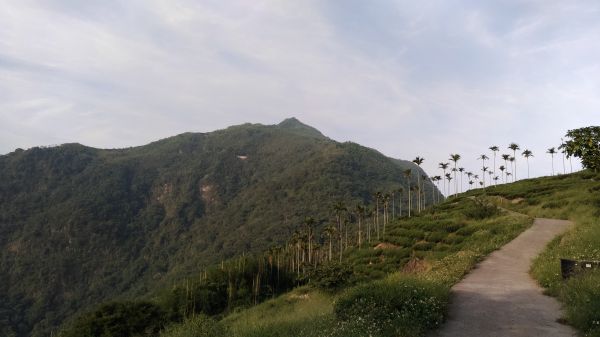 後棟仔山+挑筍古道+大尖山345533