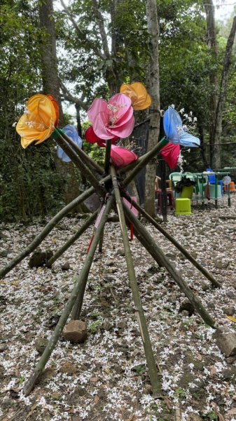 20250504大艽芎古道2837822