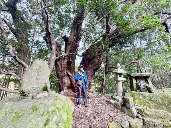 熊野古道中邊路D1 紀伊田邊、潮見峠O繞 2025.3.162744440
