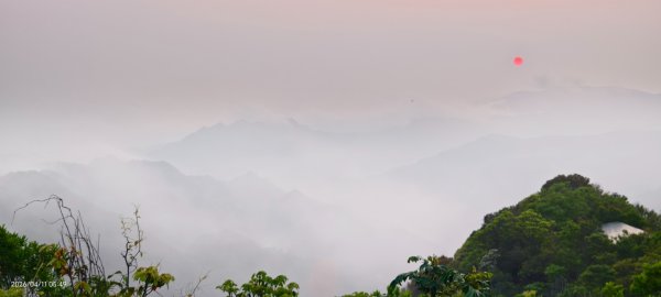 #山羌 #親子檔 #二格山 #日出 #雲海 #晨霧 4/113033437