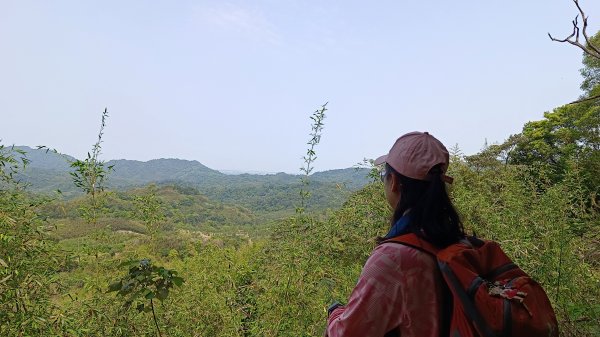 (姨婆趴趴走)第四集:桃園枕頭山古砲台步道、枕頭山、枕頭山西峰環狀縱走2111971