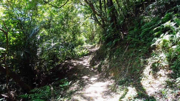 冷飯坑古道,烏月古道2292948