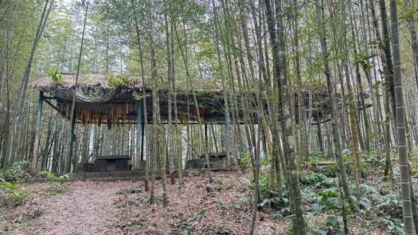 九份二山 集集大山 九尖賞梅2695250