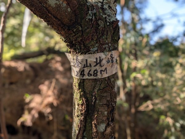 觀霧國家森林遊樂區和包場的榛山三角點2724173