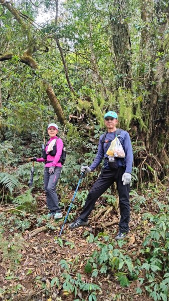 笠頂山單攻西大武山(西北峰) 九星連珠搏命演出歷險記 2025年3月20日2739011