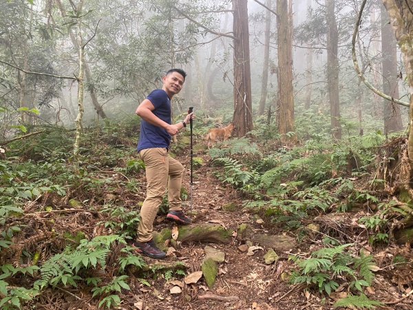 望鄉部落.獵人古道.望美山.瓊山【人與自然山林的恩怨情仇】2731384