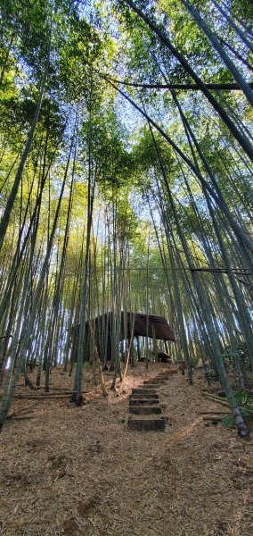 2025-01-30瑞太古道2704373