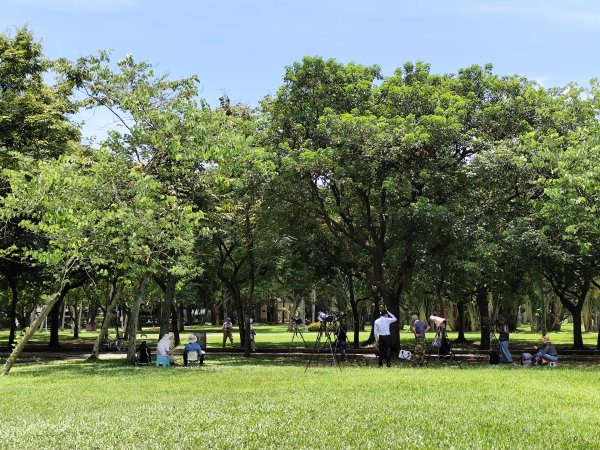 大安森林公園、港墘公園、文德三號公園【走路趣尋寶】【臺北健走趣】2549698