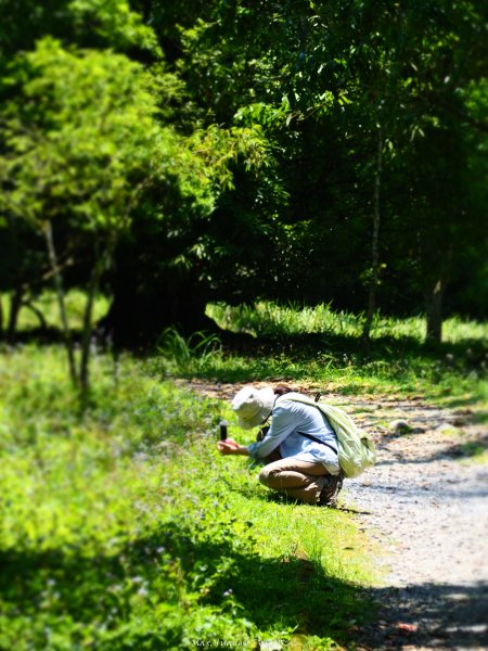 《宜蘭》植物博物館｜員山福山植物園201805182889182