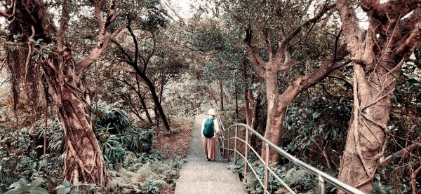 和平島公園，瑪陵尖東南峰，龍鳳山，萬壽山，北門，小南門，撫台街洋樓2044097