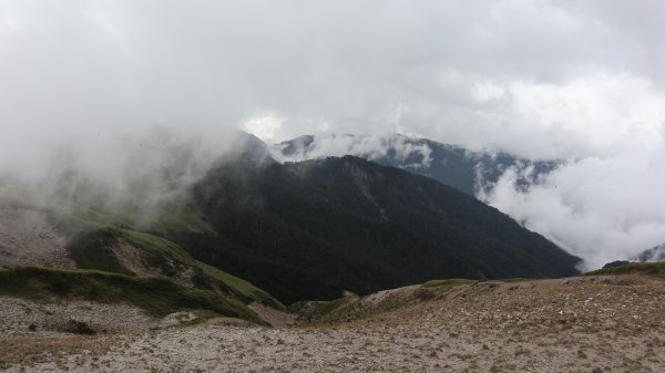 奇萊主山登山健行趣(百岳20號)2289997
