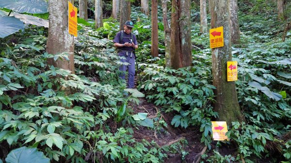 森森深呼吸的向天湖山三角湖山光天高山O型2083445