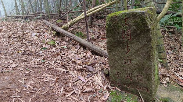 關刀山（出關古道-聖關段）苗栗小百岳1943935