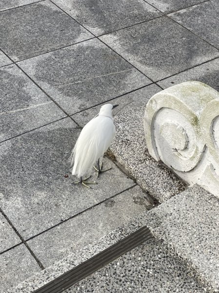 大湖翠湖金龍湖2711887