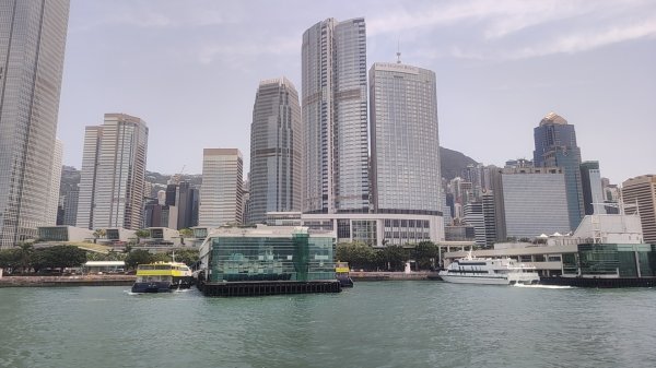 香港長洲鳥2504627