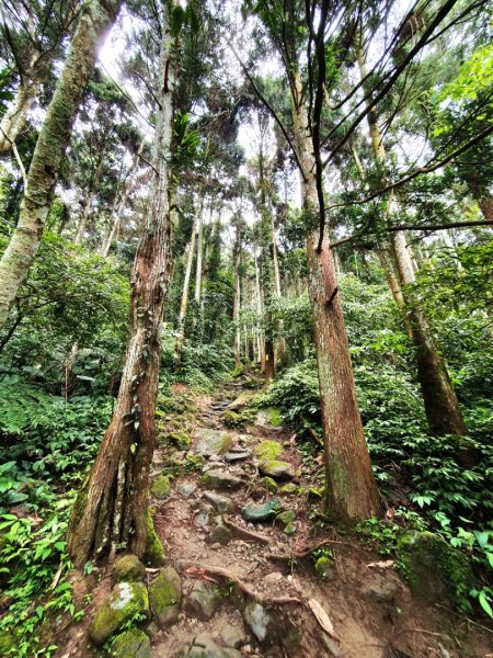 新竹民都有山，鵝公髻山，五指山，桃園赫威神木群步道，赫威山，高坡彩虹瀑布，苗栗山塘背步道，小北埔山1685622