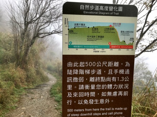 雨霧散遊太平山885830