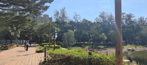 大湳森林公園2910963