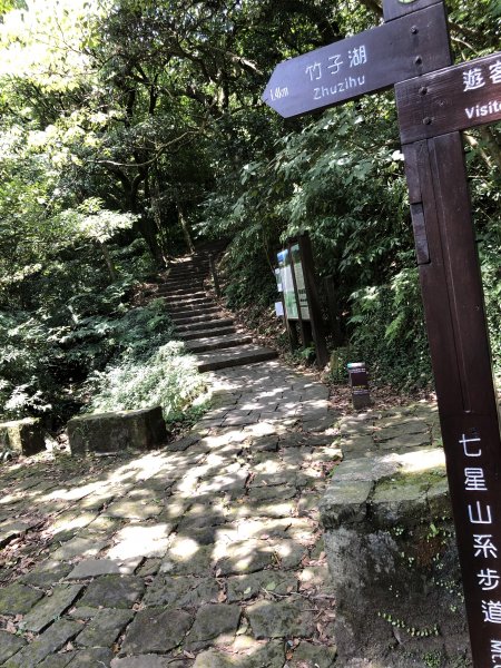 【七星山】台北第一高峰(小百岳No.2)626123