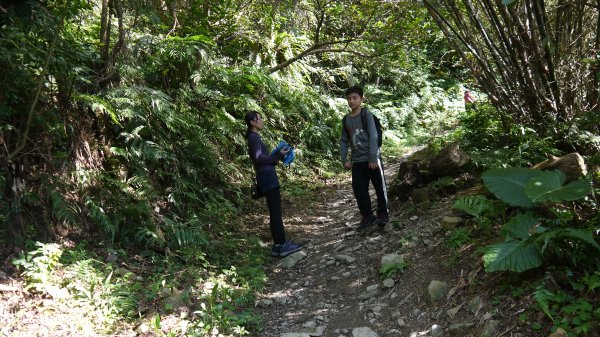 三訪跑馬古道登山健行趣（淡蘭南路TK3-10）1517785