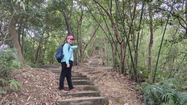 (姨婆趴趴走)第五十二集:新北新店攀登和美山及灣潭山2761096