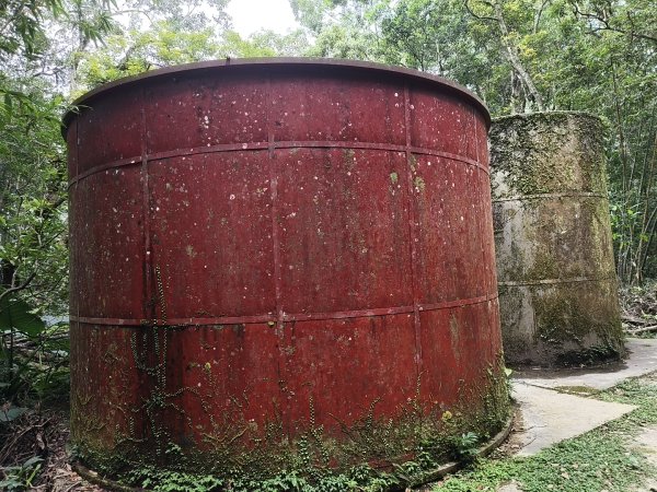 [百山百鳥尋旅-09/15] 2025_0920 滿月圓國家森林遊樂區步道群2893075