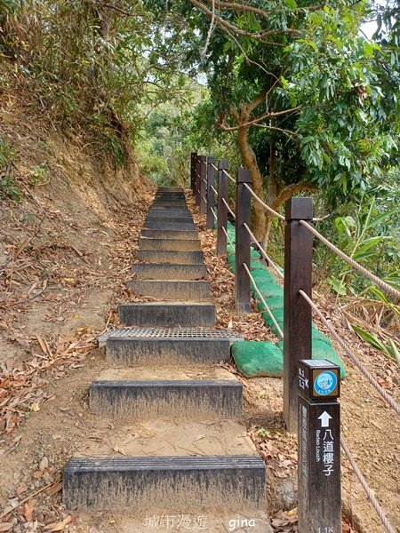 【台中豐原】平易近人。 豐原萬里長城登山步道x寮水山2517544