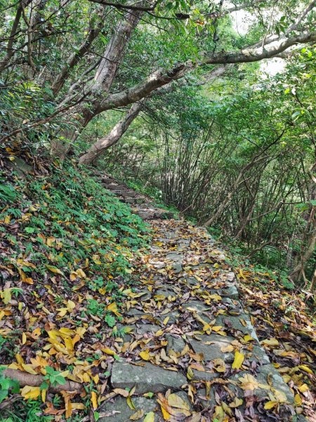 中正山- 走遍陽明山尋寶任務2250405