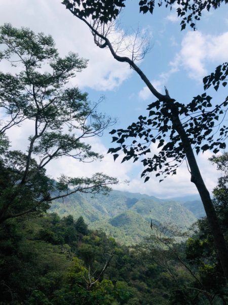 唐麻丹山蝴蝶谷步道1329413