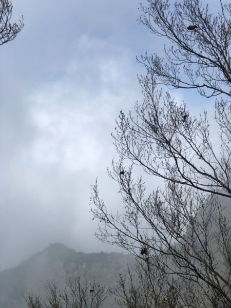 2019/03/02 北大武542005