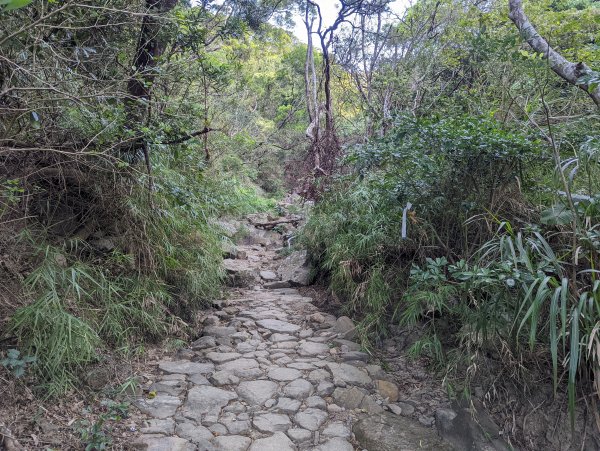 防護措施完善的五星級步道：里龍山(小百岳#80)1535892