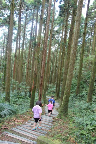 在台灣的山岳足跡236888