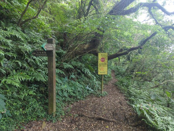 2025.06.28－大屯山連走中正山2823322