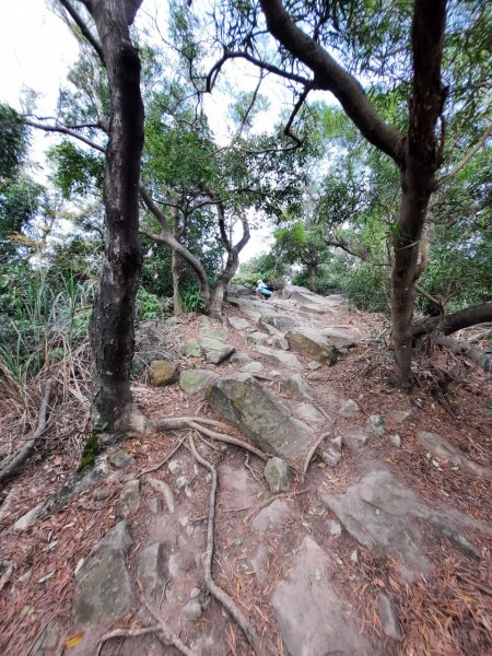 20230304 奇岩山，唭哩岸山，軍艦岩，磺溪山，丹鳳山2054259