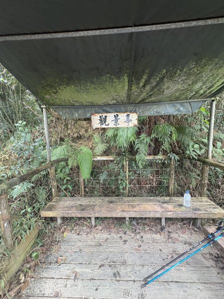 20251227尾寮山登山步道2970513