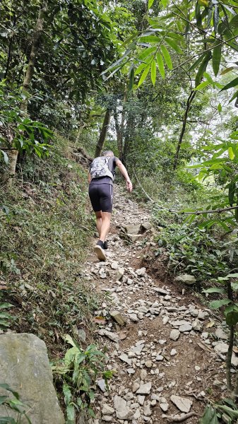 【錯過昨天的約定，今天用腳步致歉】⛰️尾寮山的魔王氣場依舊強大2952102