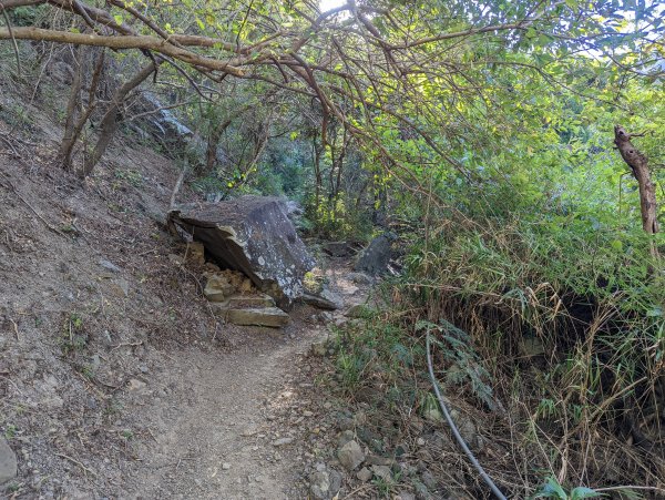 防護措施完善的五星級步道：里龍山(小百岳#80)1535890