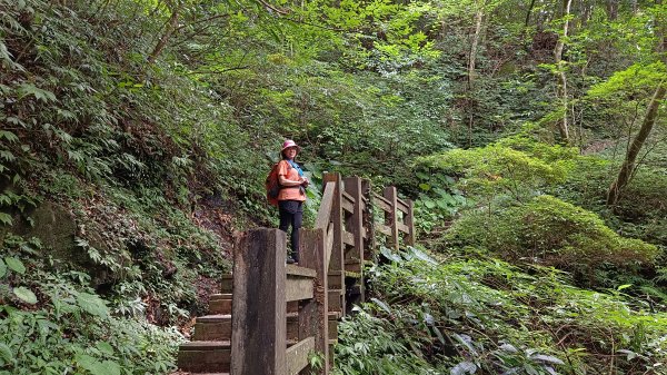 (姨婆趴趴走)第十六集:東滿步道，台灣百大必訪步道2220538