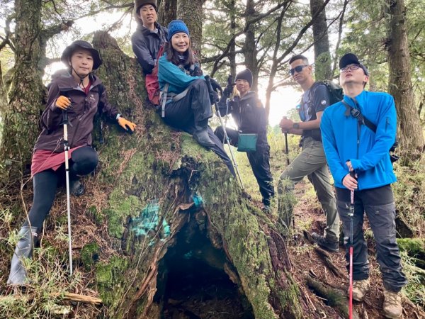 雙龍林道上巒安堂西巒大山1778720